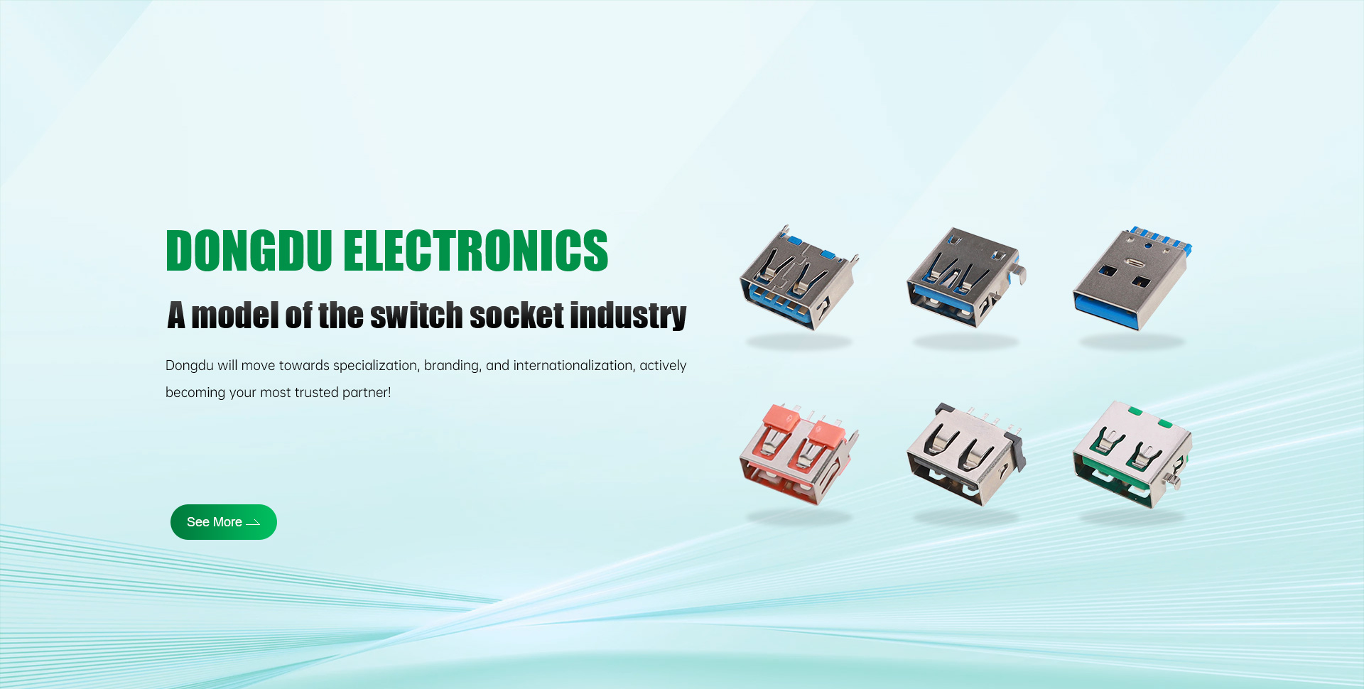 Dongguan Dongdu Electronics Co., Ltd