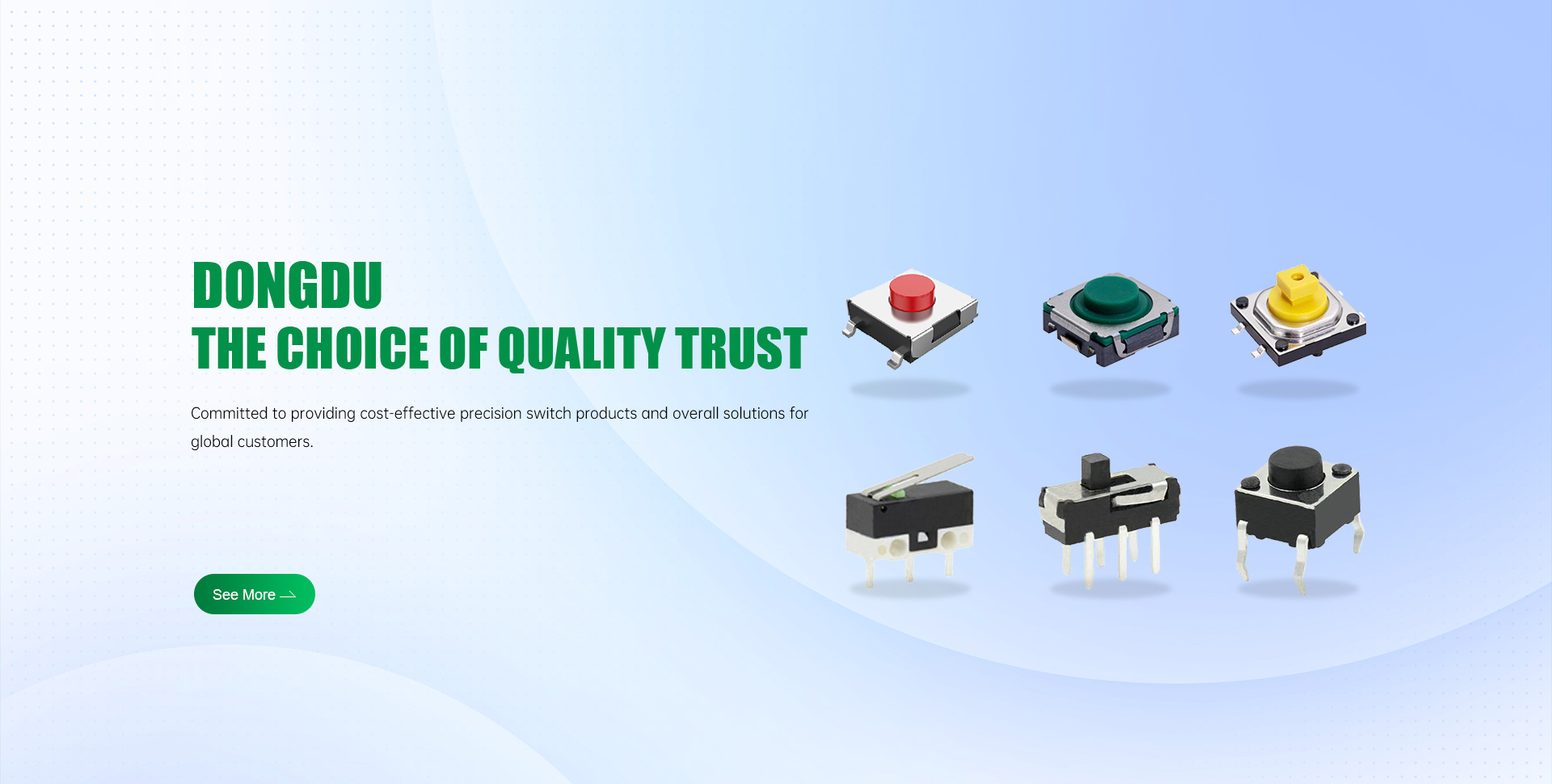 Dongguan Dongdu Electronics Co., Ltd