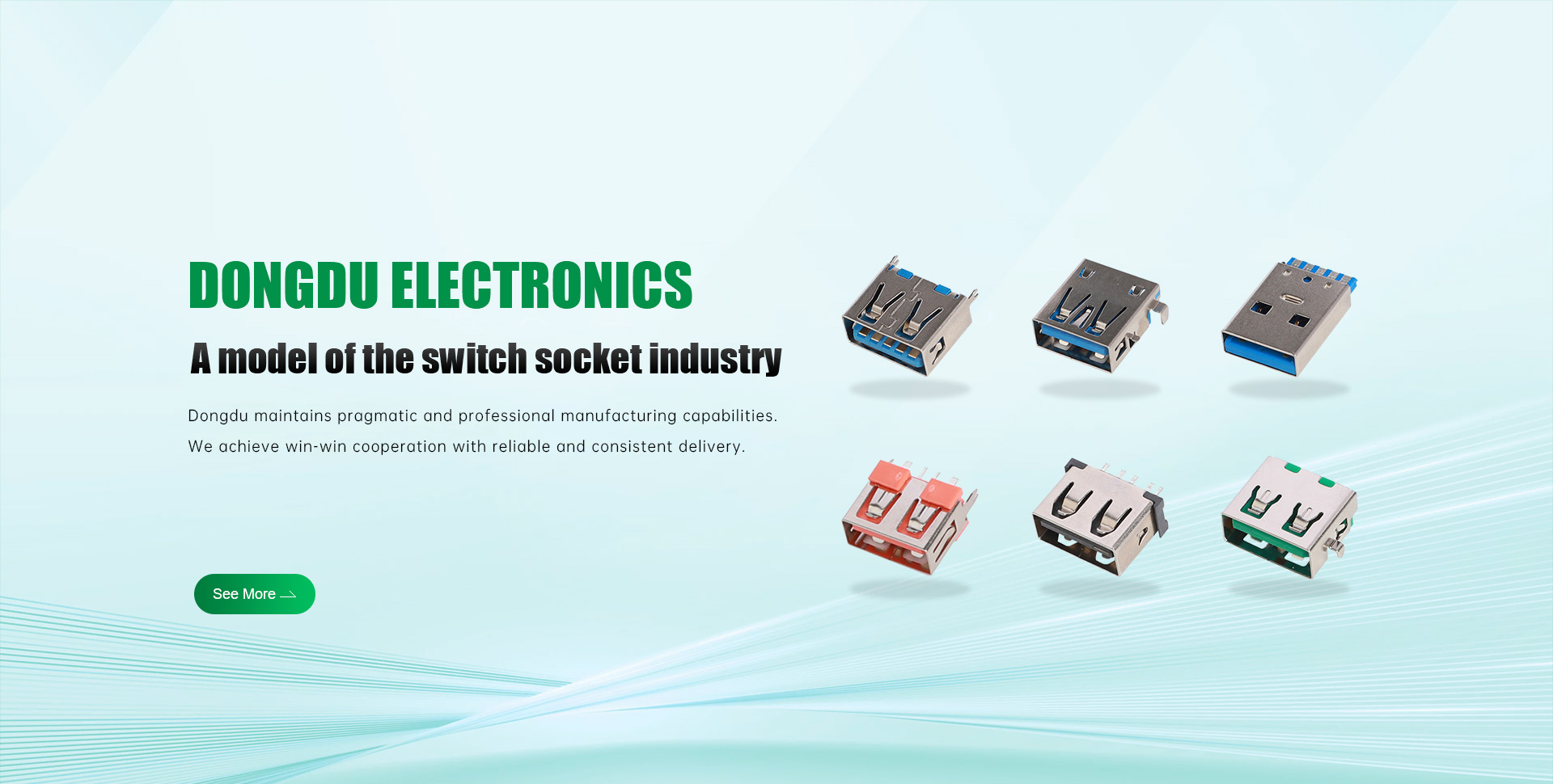 Dongguan Dongdu Electronics Co., Ltd