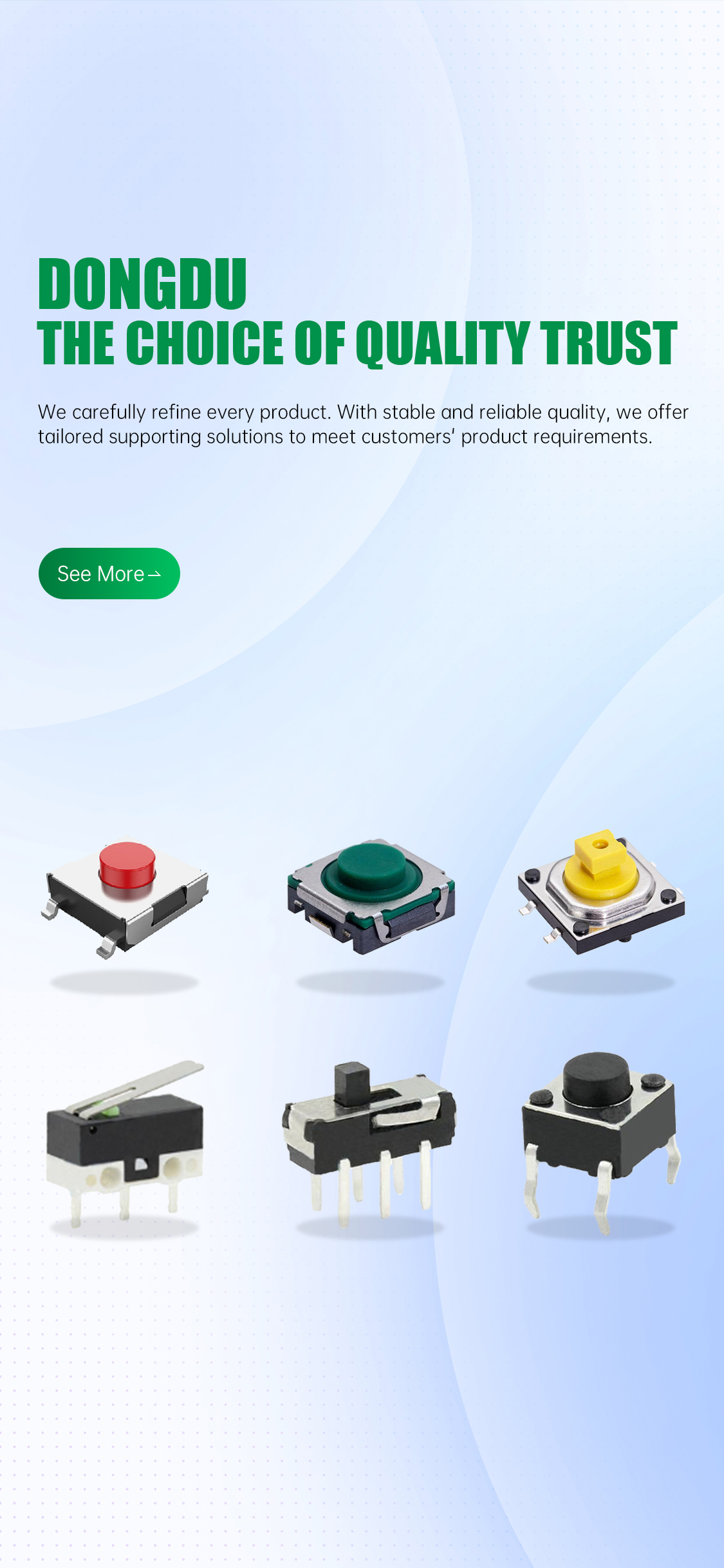 Dongguan Dongdu Electronics Co., Ltd