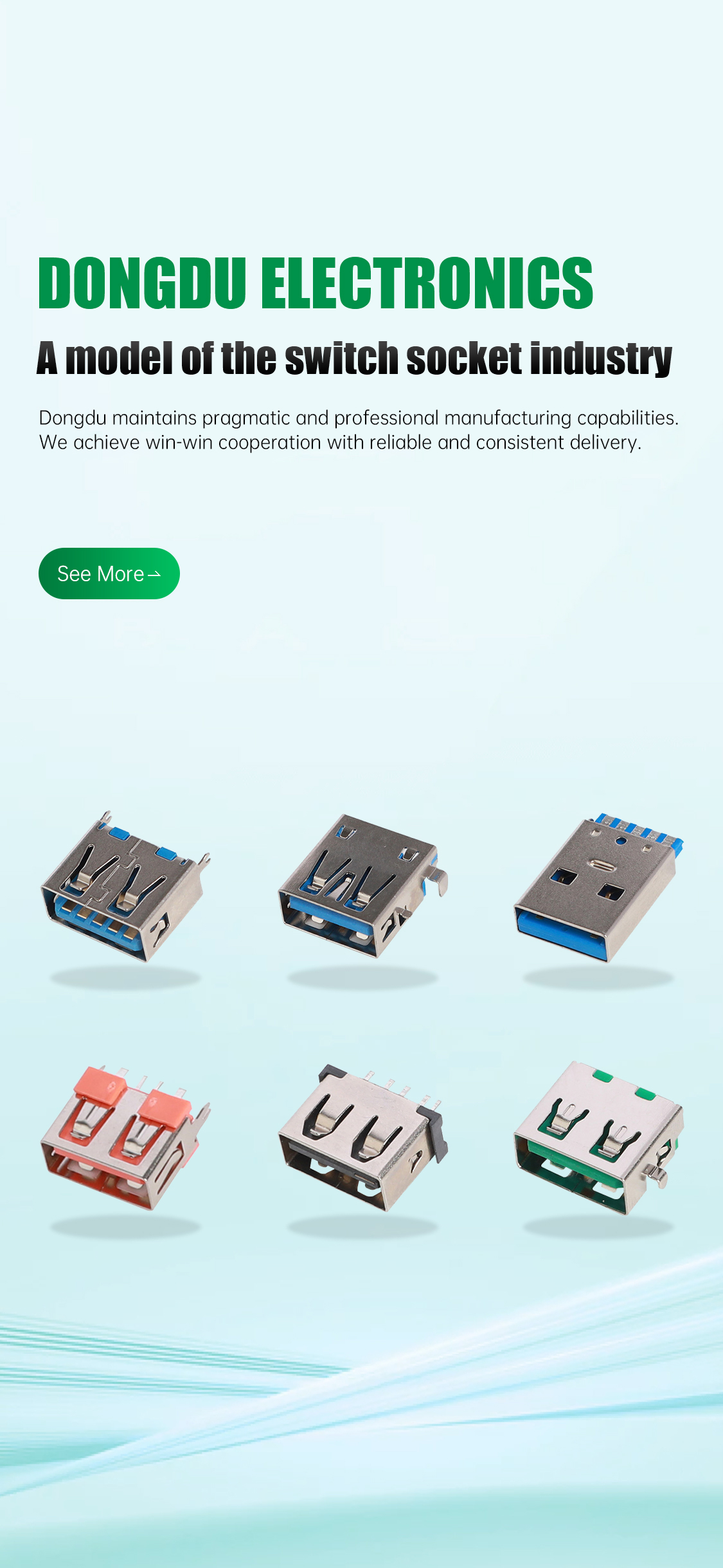 Dongguan Dongdu Electronics Co., Ltd